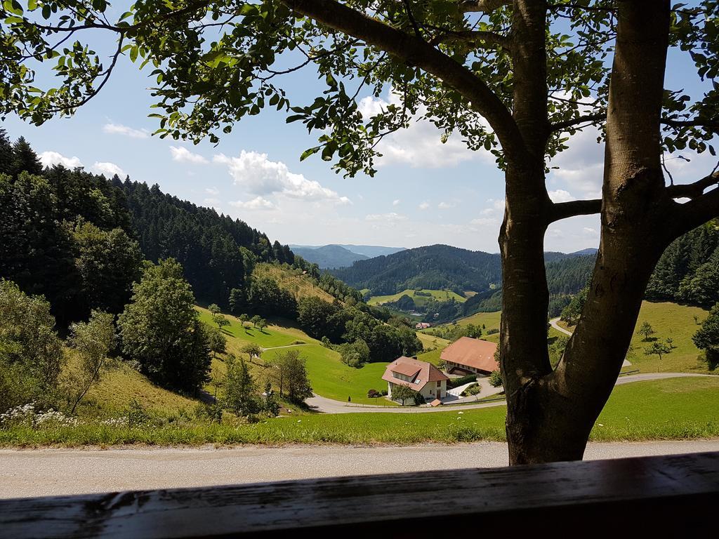 Hotel 3 Koenige Oberwolfach Luaran gambar